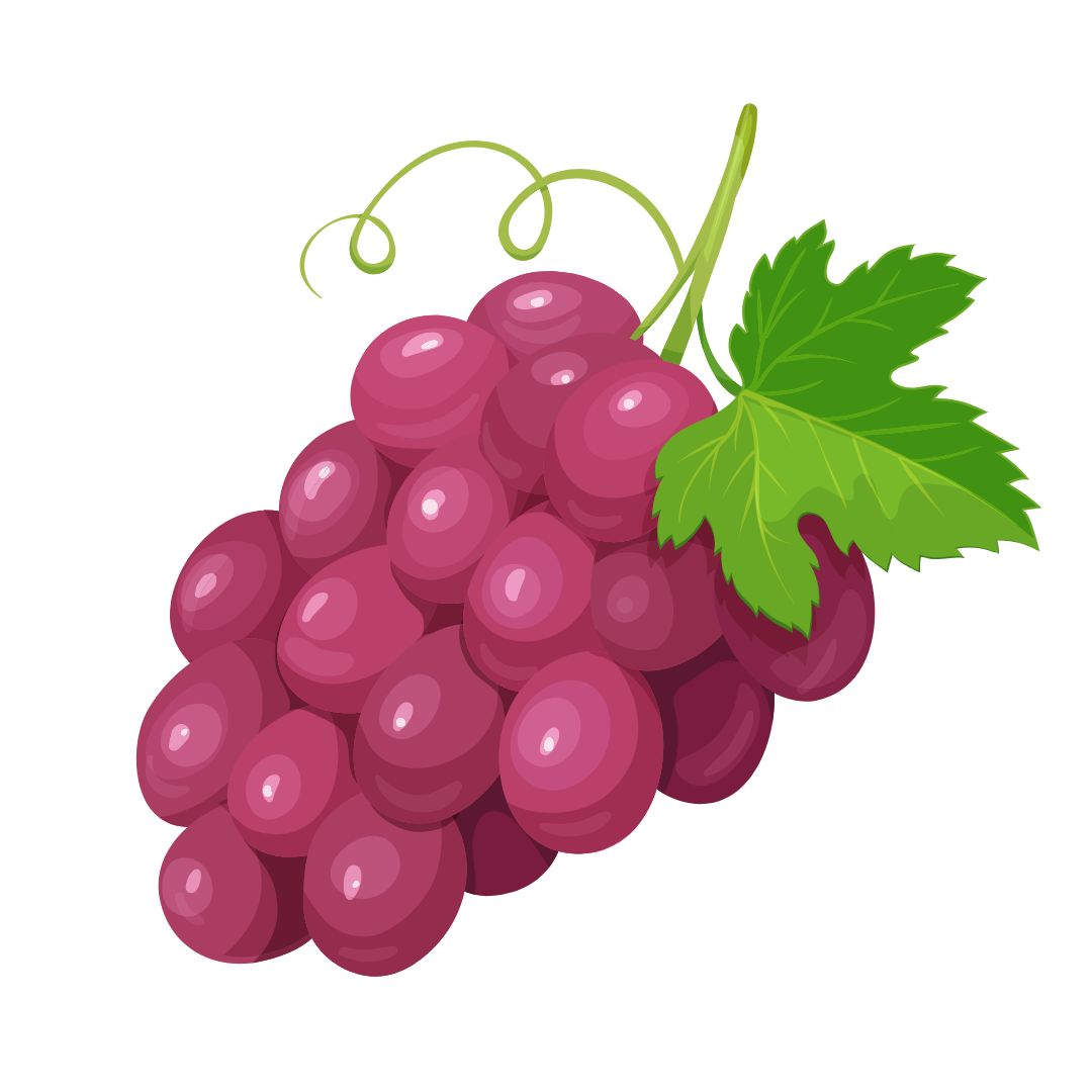 Aceite de Pepita de Uva