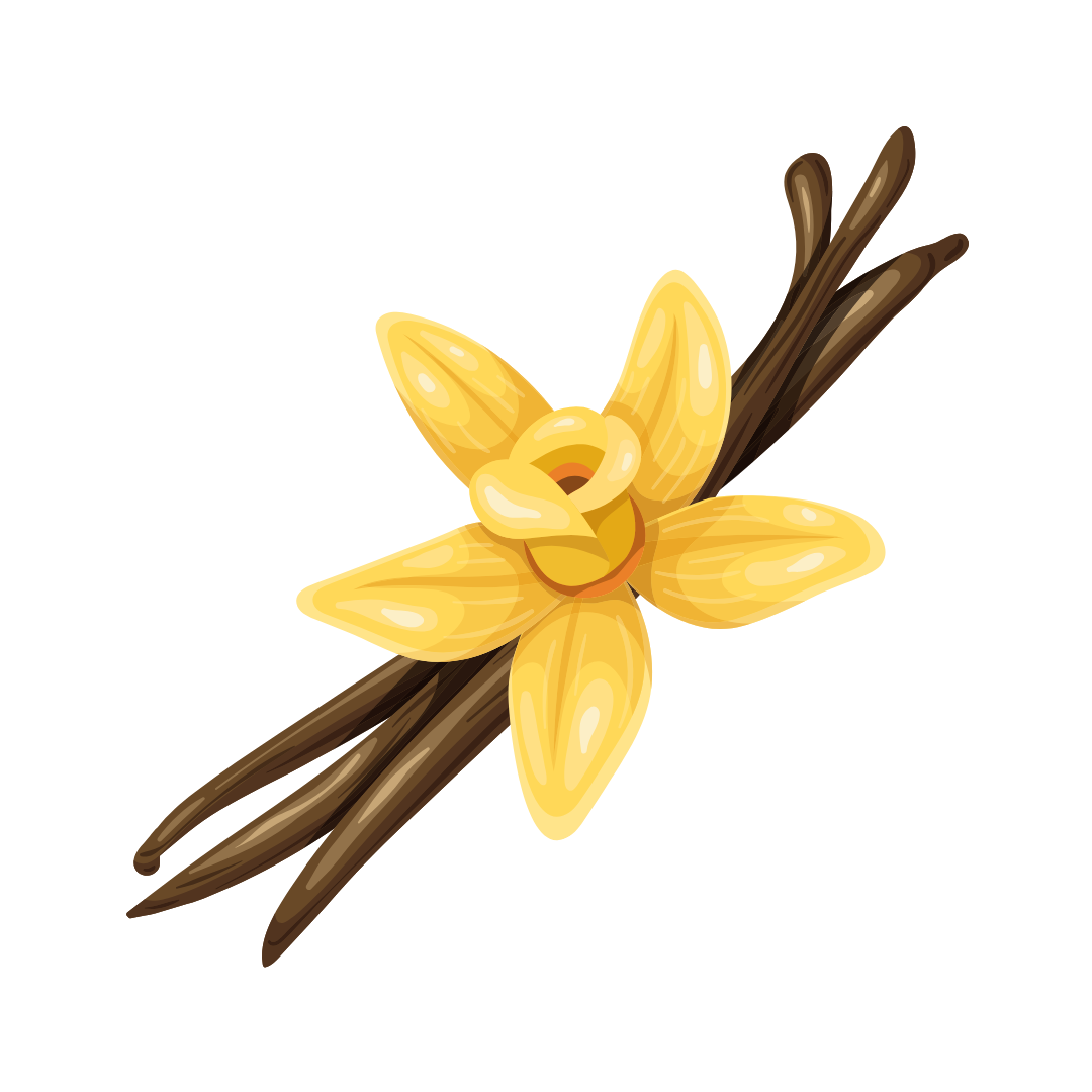 Aroma vainilla natural