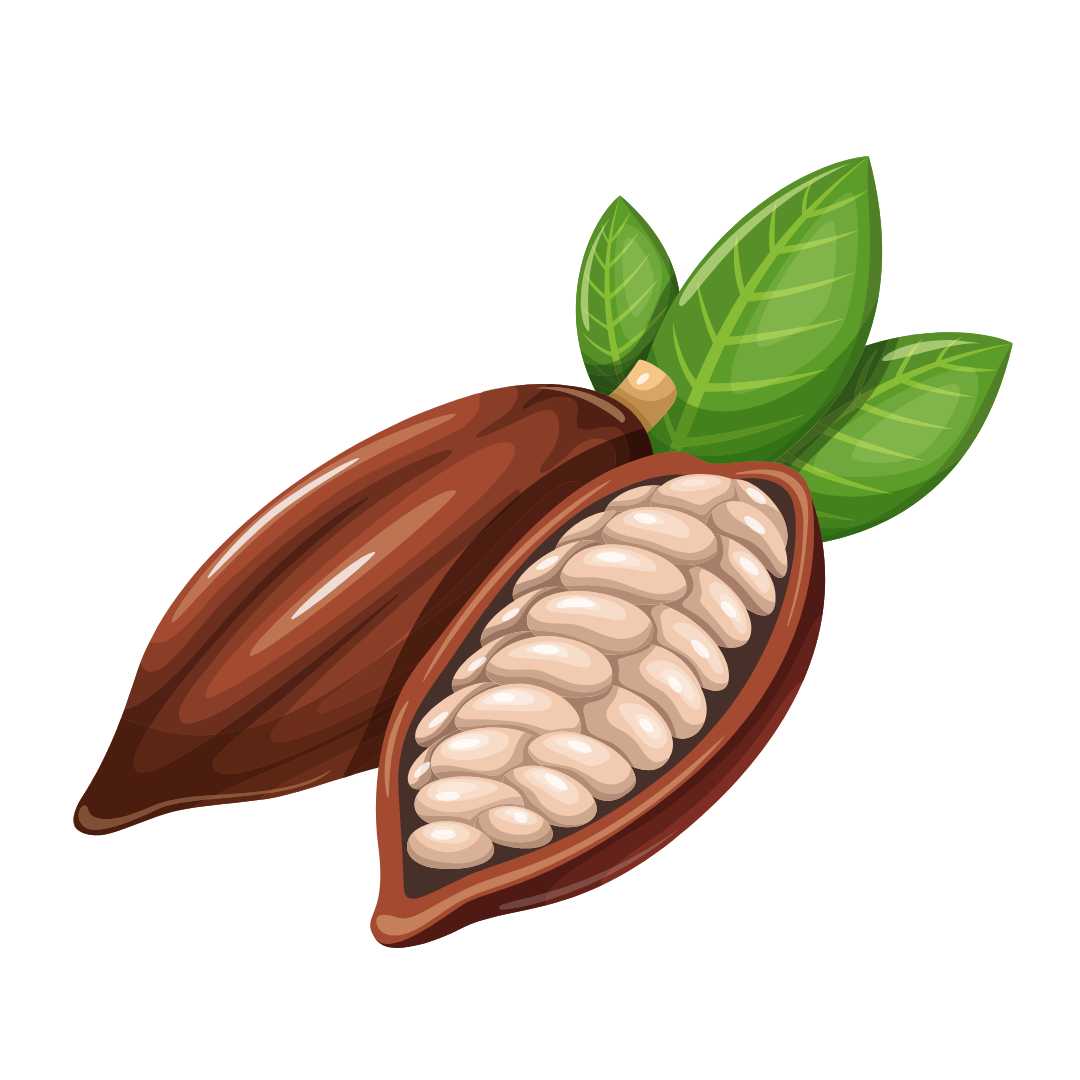 Manteca de Cacao