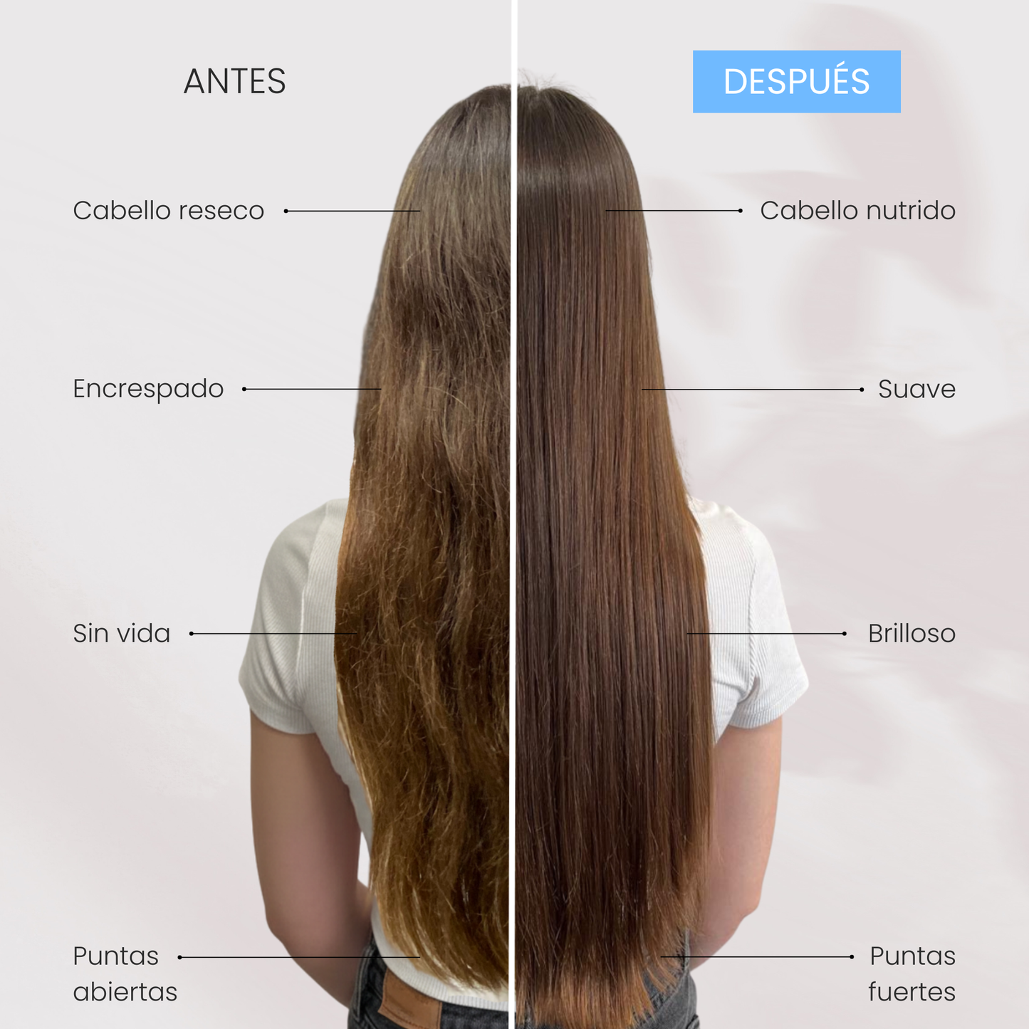 Shampoo Sólido Suave - Todo Tipo de Cabello